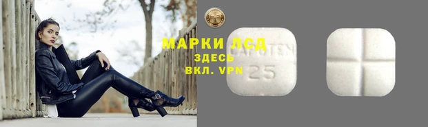 spice Беломорск