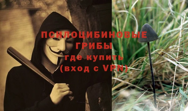 стафф Тихорецк