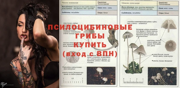 2c-b Богданович