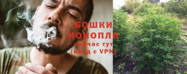 ПСИЛОЦИБИНОВЫЕ ГРИБЫ Богородск