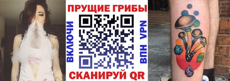 mega ссылка  Будённовск  Галлюциногенные грибы Cubensis 